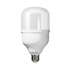 ΛΑΜΠΑ LED 30W 4000C.W. E27 5737
