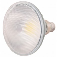 ΛΑΜΠΤΗΡΑΣ  LED PAR38 LED 16W COB GREEN IP65